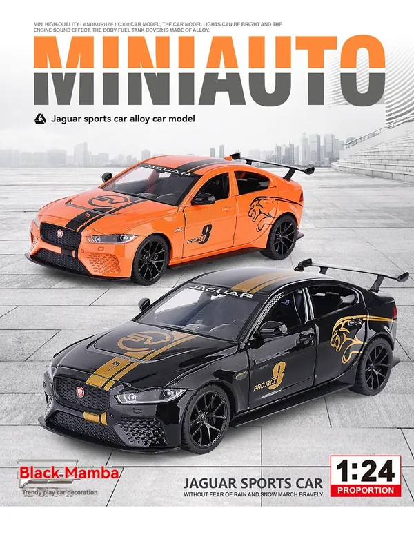 TW301050 1/24 Big Size Diecast Toys Car Ja-guar Pace TROPHY Metal Mod